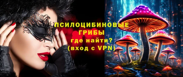 дмт Зеленокумск