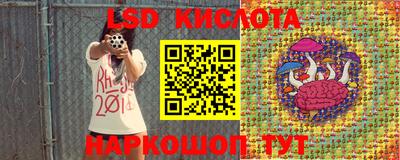 мдма Камышлов