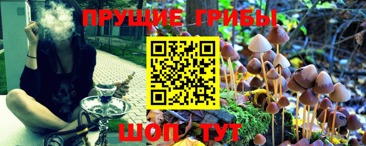 Галлюциногенные грибы мухоморы Ульяновск