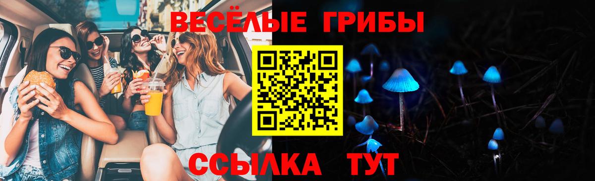Ульяновск  Галлюциногенные грибы Cubensis  Вход с VPN 